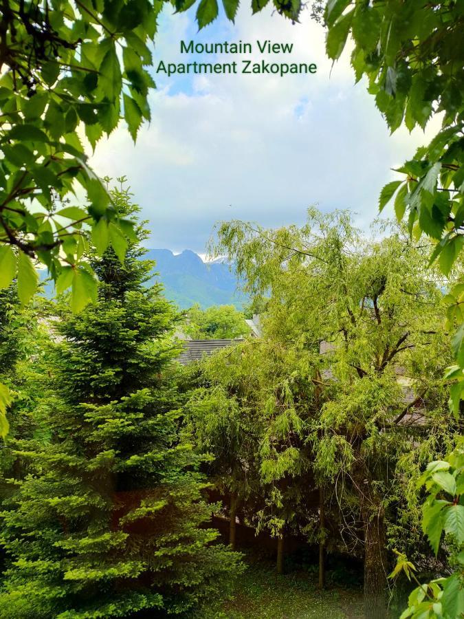 Mountain View Apartment Закопане Экстерьер фото